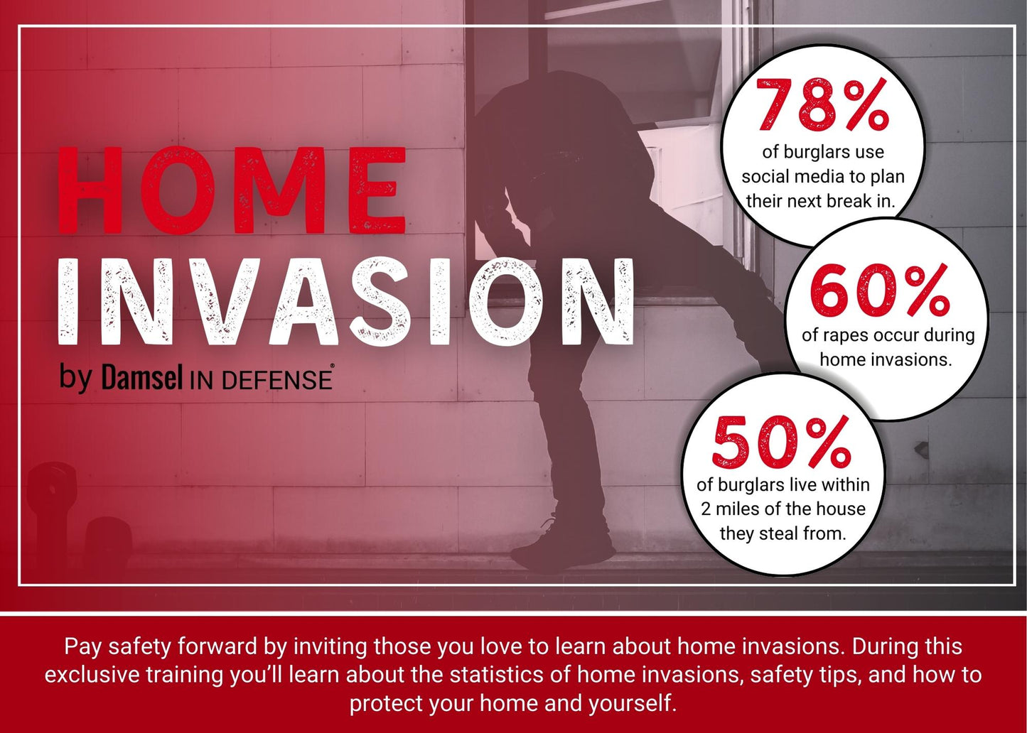 (Damsel Safety Education Series) "Home Invasion" and "Online Safety"